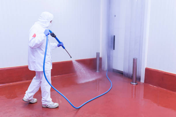 Best Rust Removal  in Washington, WV